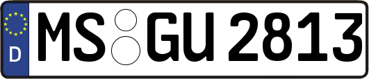 MS-GU2813