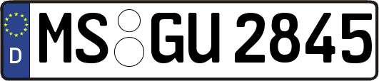 MS-GU2845