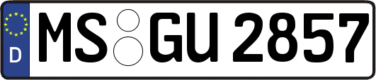 MS-GU2857