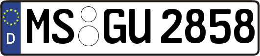 MS-GU2858
