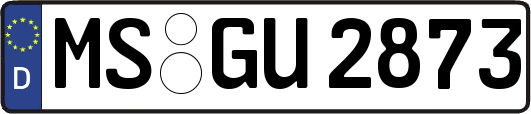 MS-GU2873