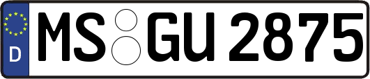 MS-GU2875