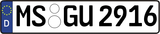 MS-GU2916
