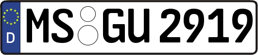 MS-GU2919