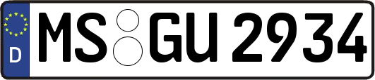 MS-GU2934
