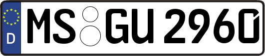 MS-GU2960