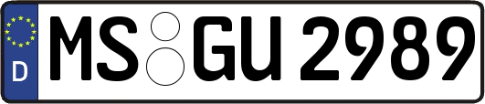 MS-GU2989