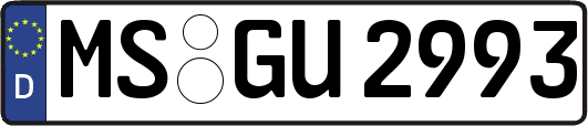 MS-GU2993