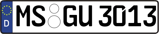 MS-GU3013