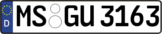 MS-GU3163