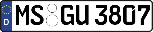 MS-GU3807