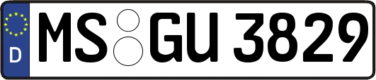 MS-GU3829