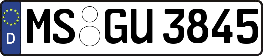 MS-GU3845
