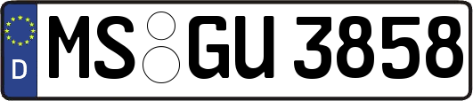 MS-GU3858