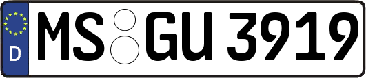 MS-GU3919