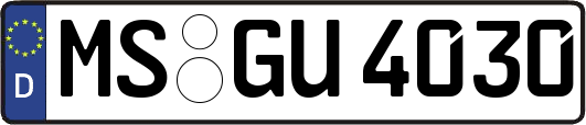 MS-GU4030