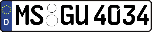 MS-GU4034