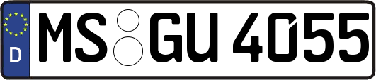 MS-GU4055
