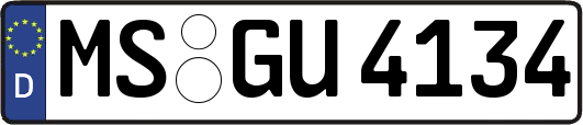 MS-GU4134