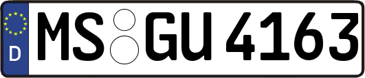MS-GU4163