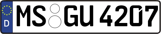 MS-GU4207