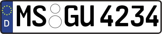 MS-GU4234