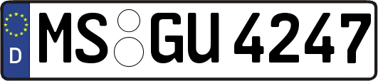 MS-GU4247