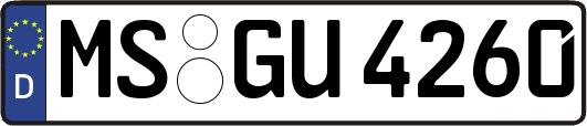 MS-GU4260