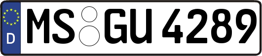 MS-GU4289