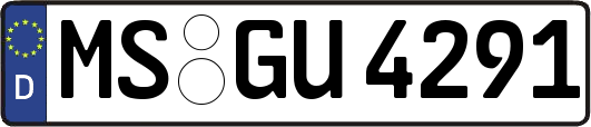 MS-GU4291
