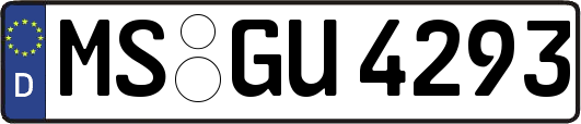 MS-GU4293