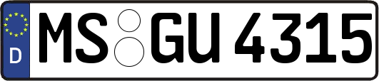 MS-GU4315