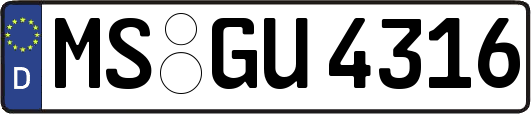 MS-GU4316