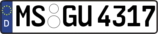 MS-GU4317