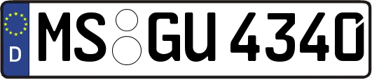 MS-GU4340