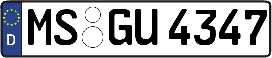 MS-GU4347
