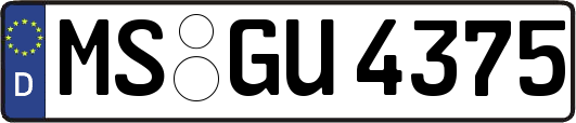 MS-GU4375