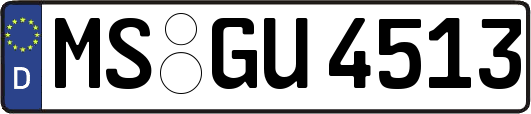 MS-GU4513