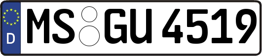 MS-GU4519