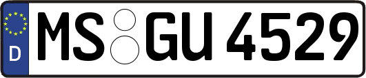 MS-GU4529