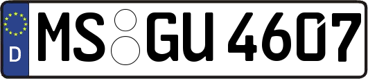 MS-GU4607