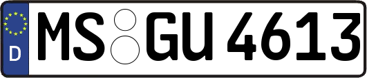 MS-GU4613