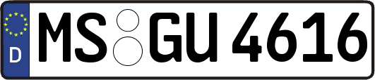 MS-GU4616