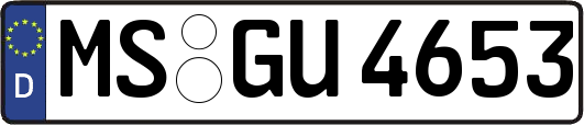 MS-GU4653