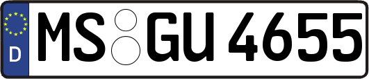 MS-GU4655