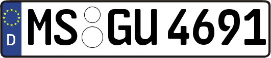 MS-GU4691