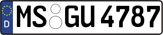 MS-GU4787