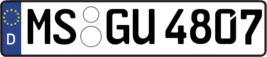 MS-GU4807