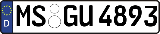 MS-GU4893
