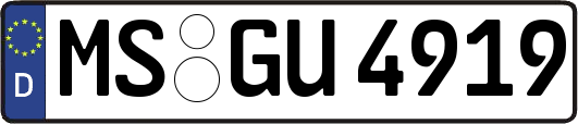 MS-GU4919